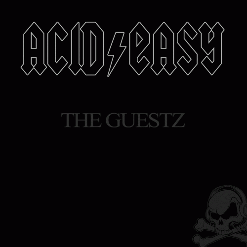 The Guestz : Acid Easy